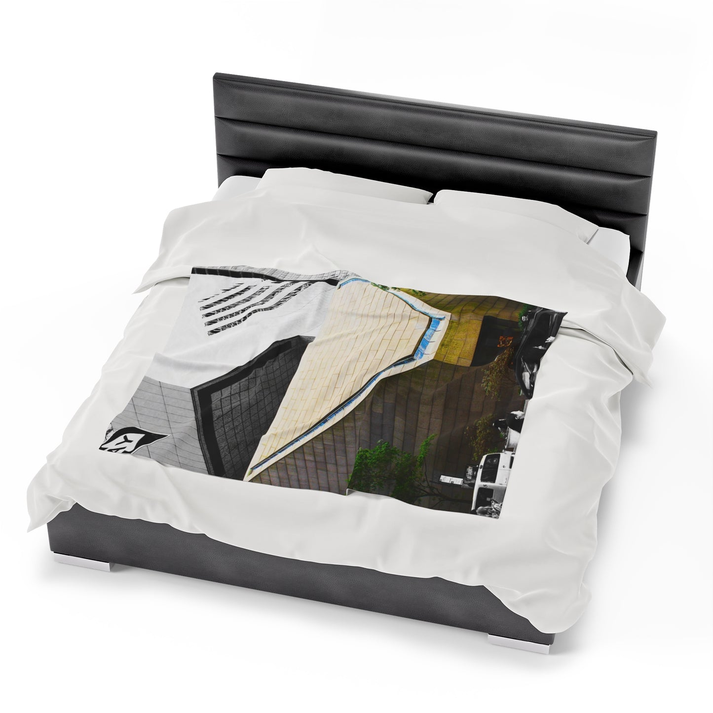 Velveteen Plush Blanket with beautiful car image.