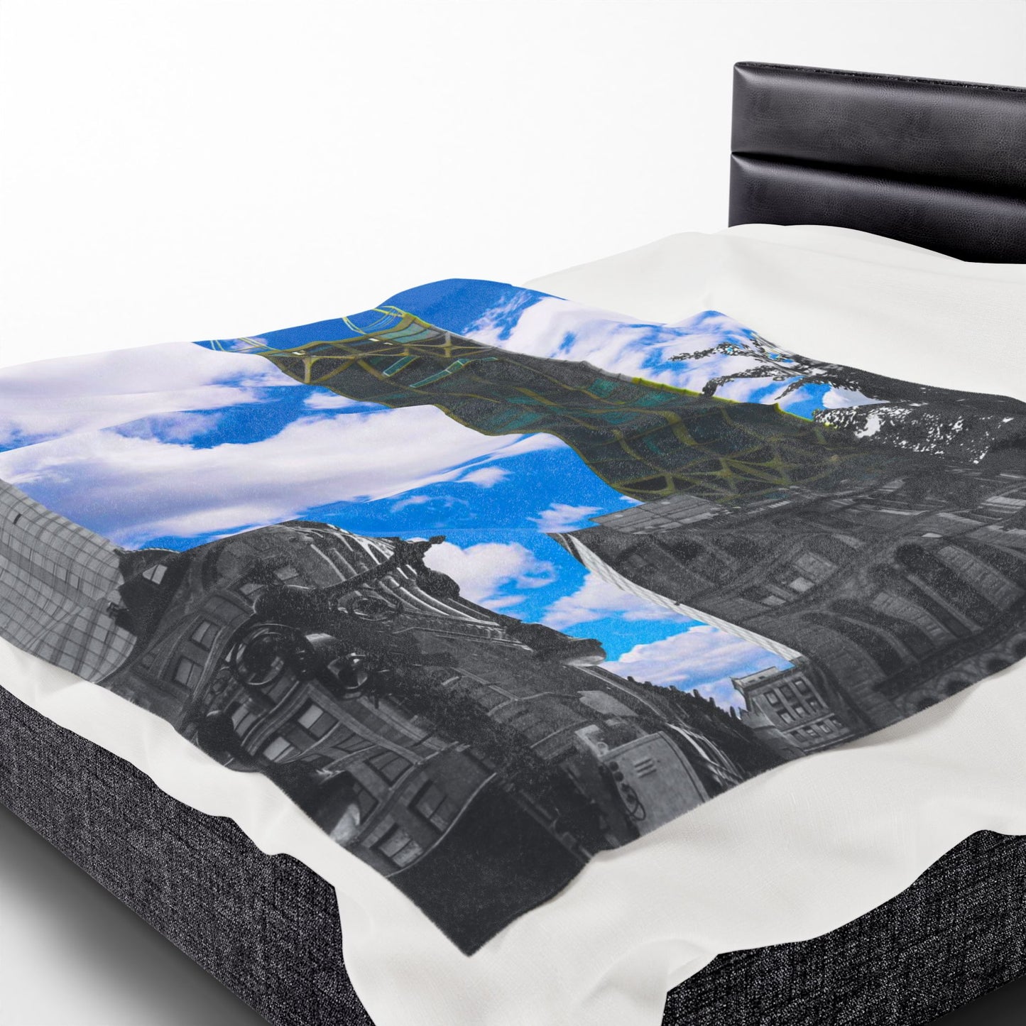 Velveteen Plush Blanket with beautiful photo image.