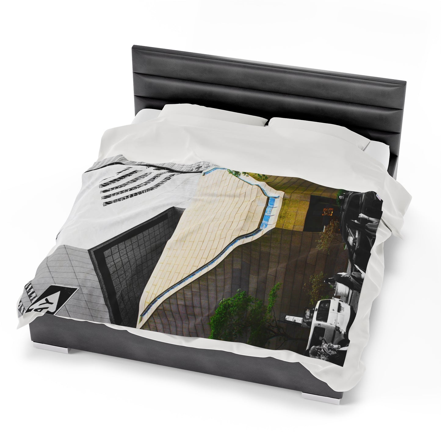 Velveteen Plush Blanket with beautiful car image.