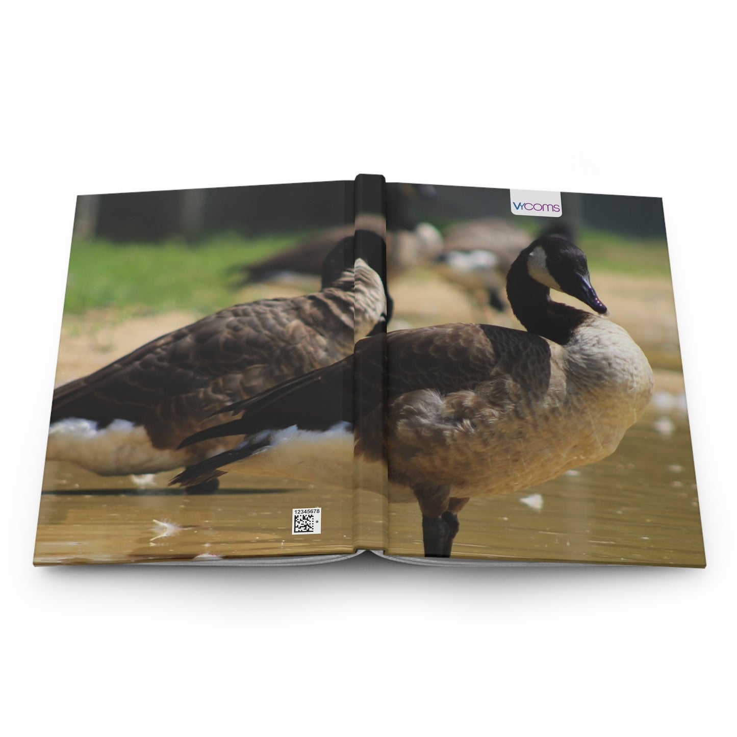 Captivating Moments: Explore Our 150 lined Pages Hardcover Journal.