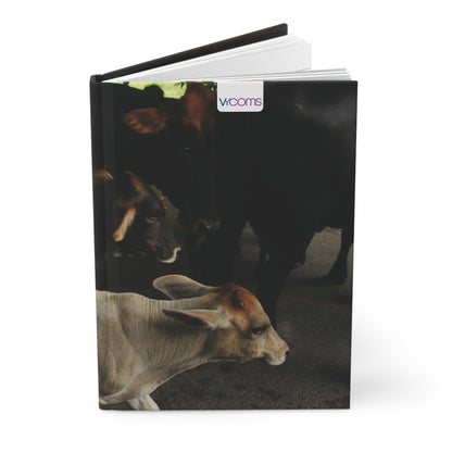 Captivating Moments: Explore Our 150 lined Pages Hardcover Journal.