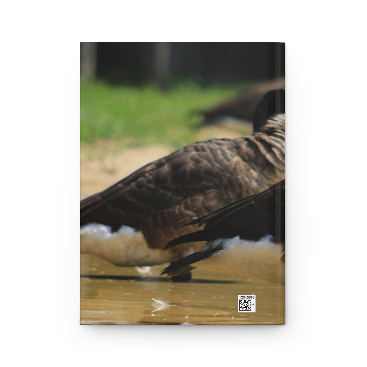 Captivating Moments: Explore Our 150 lined Pages Hardcover Journal.