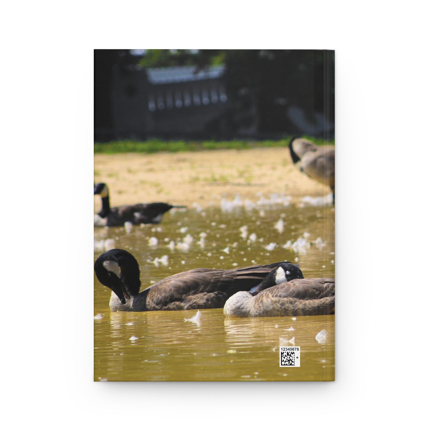 Captivating Moments: Explore Our 150 lined Pages Hardcover Journal.